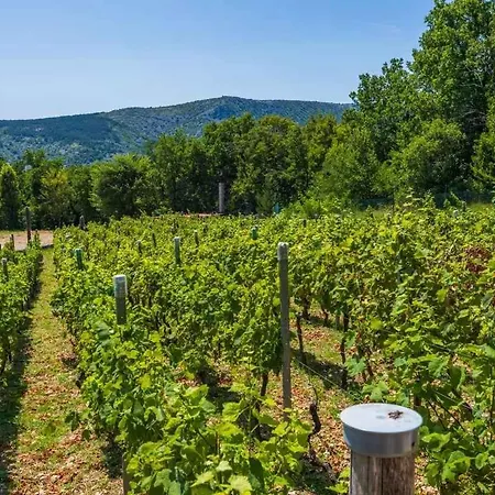 In 45281 Сasa de vacaciones *